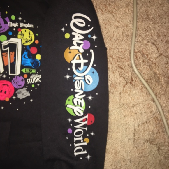2011 authentic Disney world magic kingdom hoody , size large unisex . - Picture 2 of 4